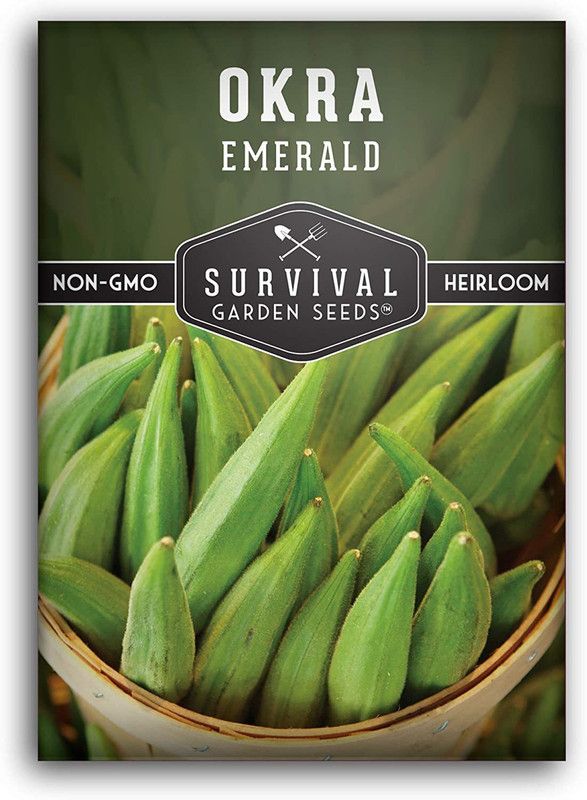 MKR Enterprises Bhindi Seed  (60 per packet)