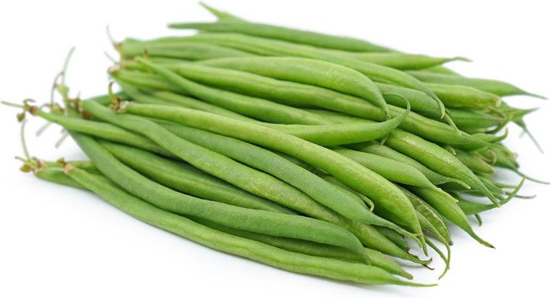 XOLDA Beans Seed  (35 per packet)