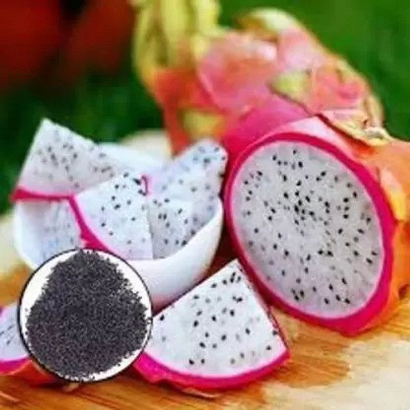 Chalisa Dragon Fruit Seed  (80 per packet)