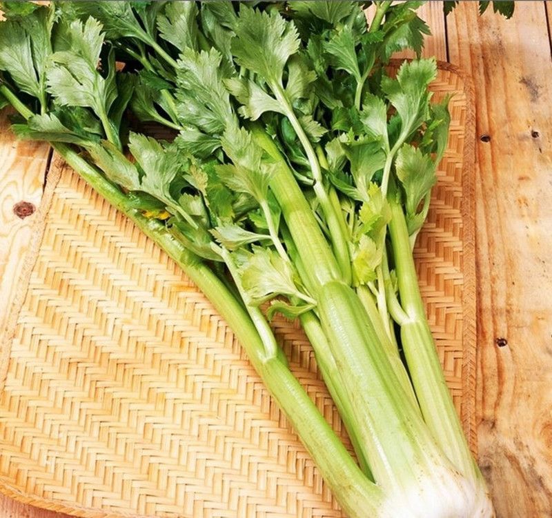 ENTENT CELERY MARSHMALLOW Seed  (50 per packet)