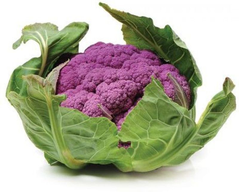Paudha CavliFlower purple plant Seed  (35 per packet)