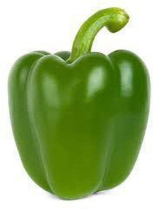 Nodoc Green capsicum Seed  (46 per packet)