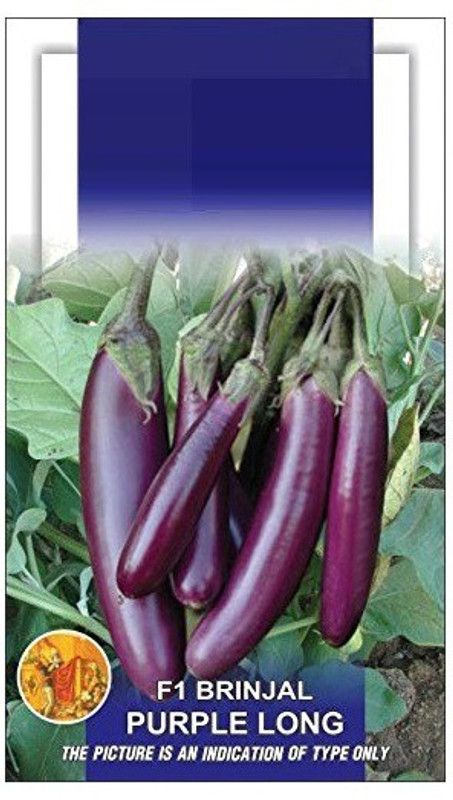 DROXTY ® Brinjal F1-Hybrid Purple Long Seeds Seed  (250 per packet)