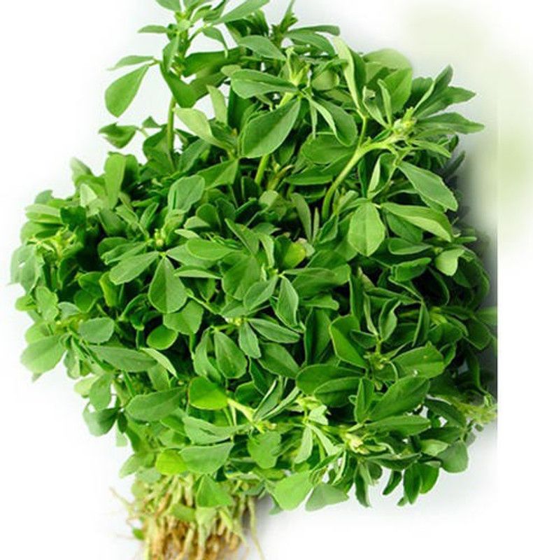 Mozette Methi Seed  (40 per packet)