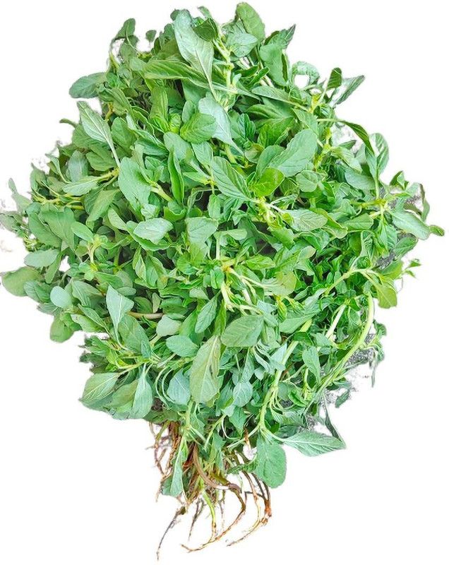 CooPany SIRU KEERAI / TROPICAL AMARANTHUS SEEDS 100 GRAMS 1 LAKH SEEDS. Seed  (100000 per packet)