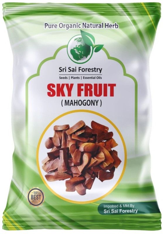 SRI SAI FORESTRY Swietenia Mahogany Seeds for Planting and Medicine Seed  (600 per packet)