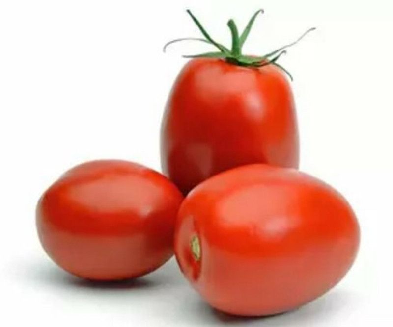 XOLDA Tomato Roma Seed  (33 per packet)