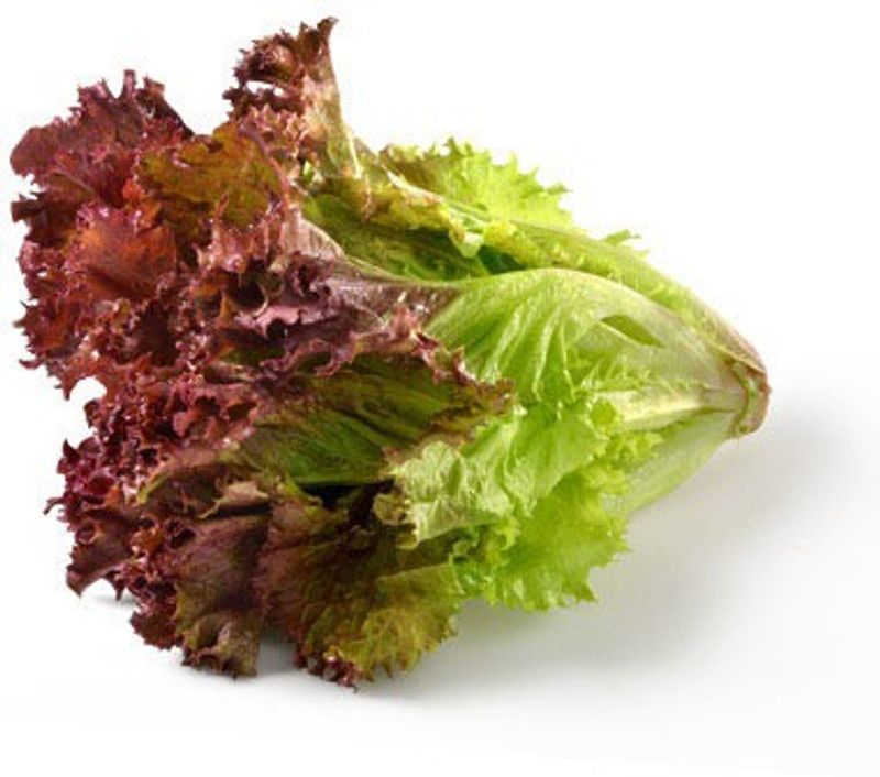 Mozette Red lettuce Seed  (10 per packet)