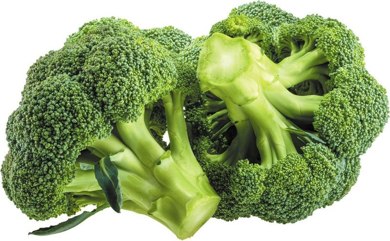XOLDA Broccoli Seed  (45 per packet)