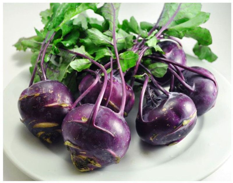 Mozette Knol- Khol purple Vegetable Seed  (12 per packet)