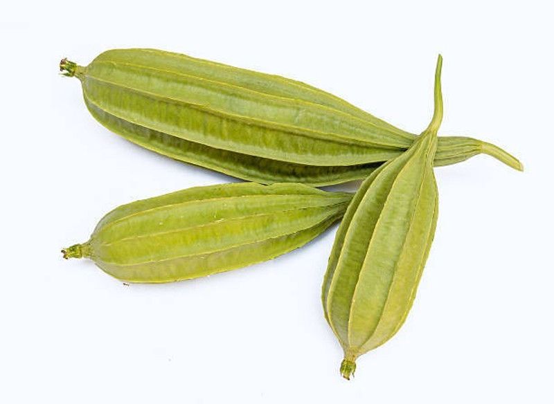 Splorias Ridge Gourd Seed  (40 per packet)