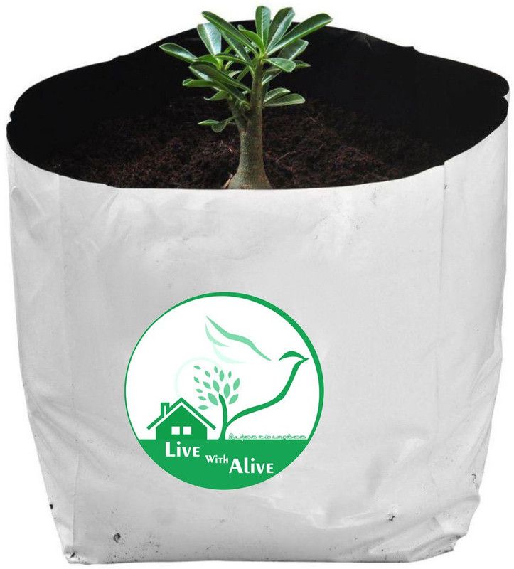 live with alive Grow Bags (set of 10) Extra Large 100% Pure Virgin Grow Bags UV Stabilised Extra Strong Superior Quality - (Qnty-10) Size:L20 X W20 X H35cm. Grow Bag