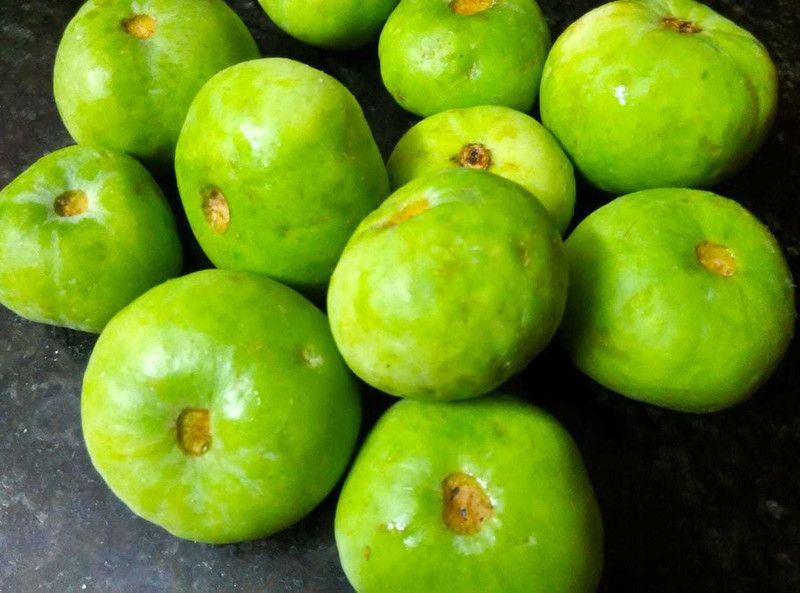 KLARKEE Tinda Seed  (80 per packet)
