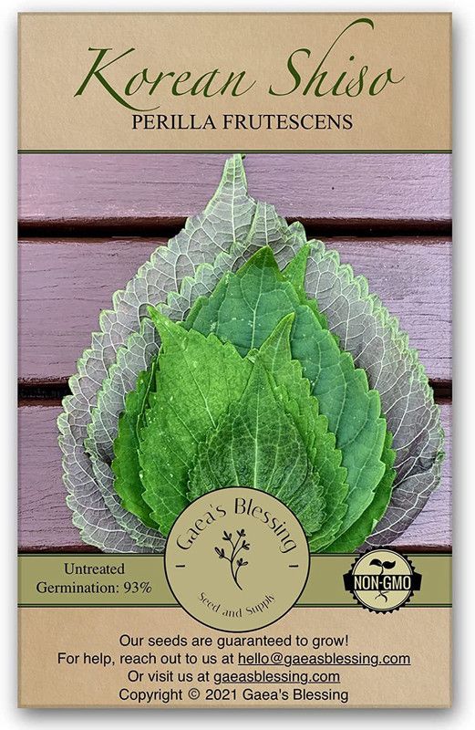 WILLVINE LX-2 Korean Shiso Seeds (Perilla) Seed  (600 per packet)