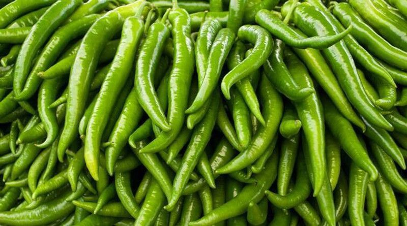 Nodoc Green chilli Seed  (15 per packet)