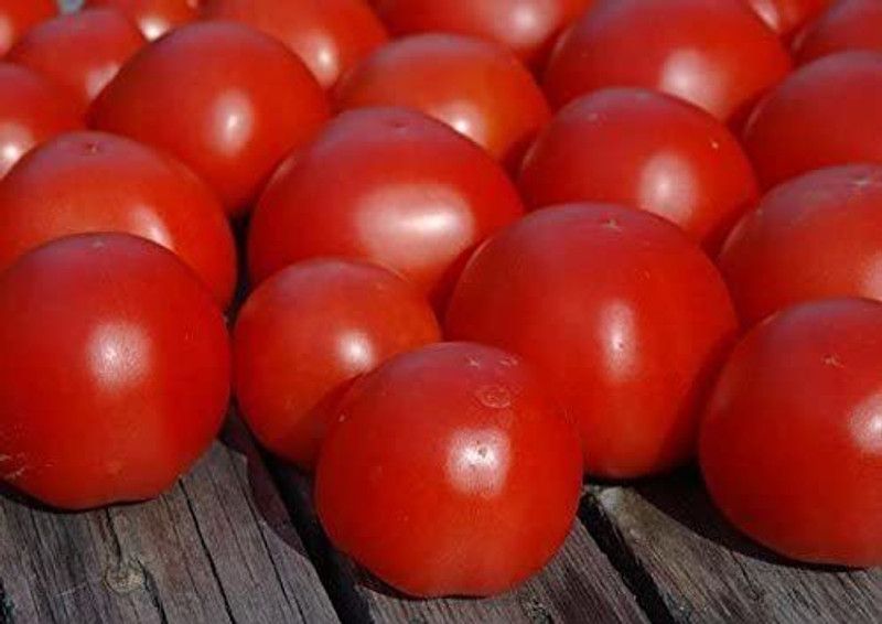 WILLVINE XLR-958 Tomato Seeds- Jet star Seed  (200 per packet)