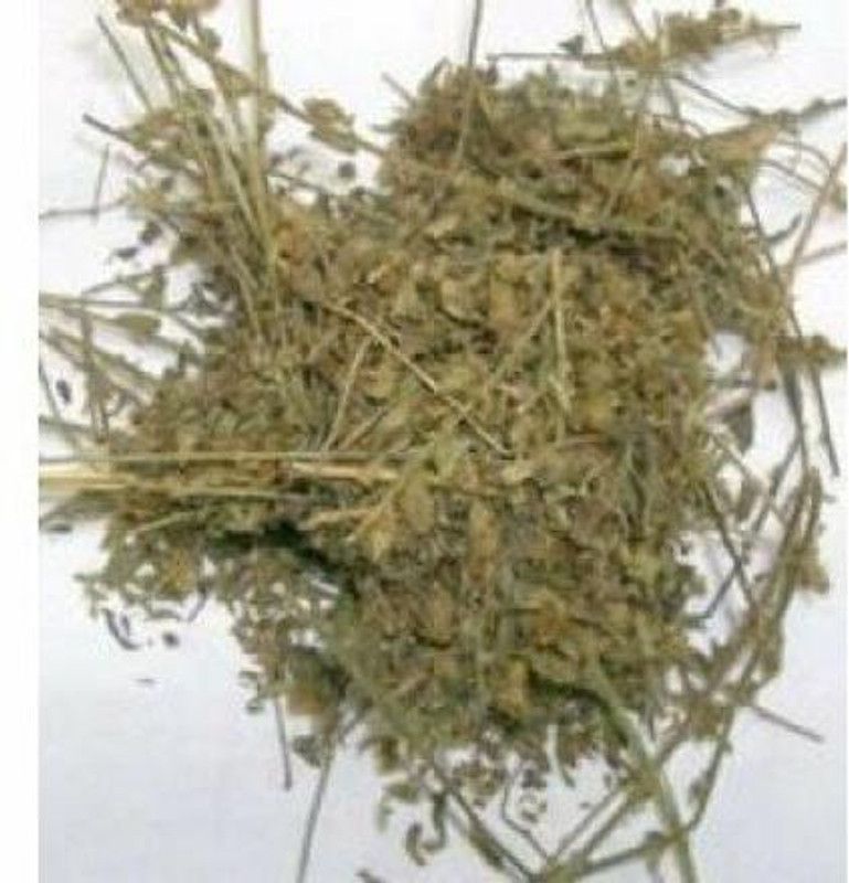 Urancia Shankhpushpi- 100 Gram Seed  (1 per packet)