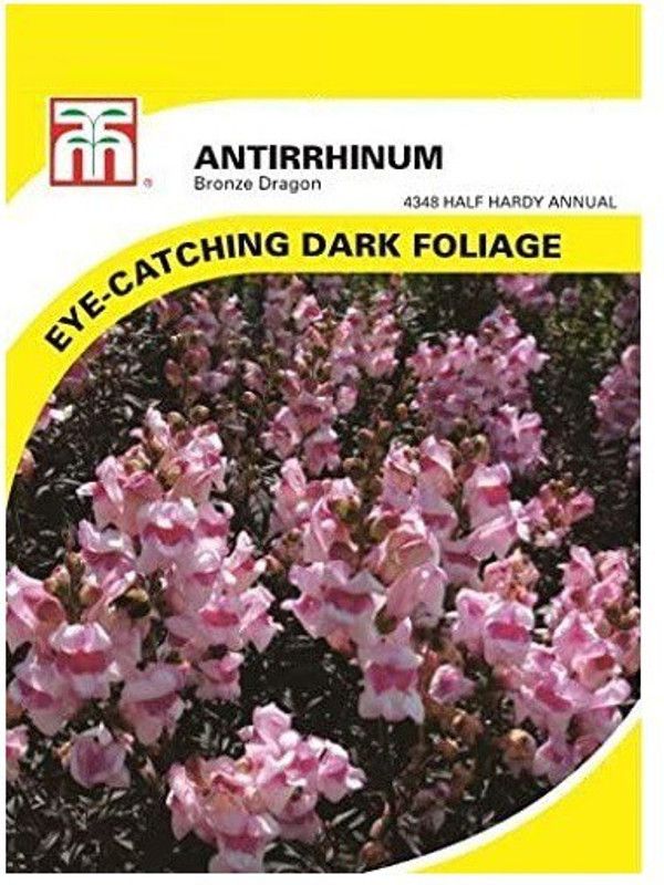 CYBEXIS Snapdragon Seeds (Antirrhinum majus) Packed in FROZEN SEED CAPSULES Seed  (50 per packet)