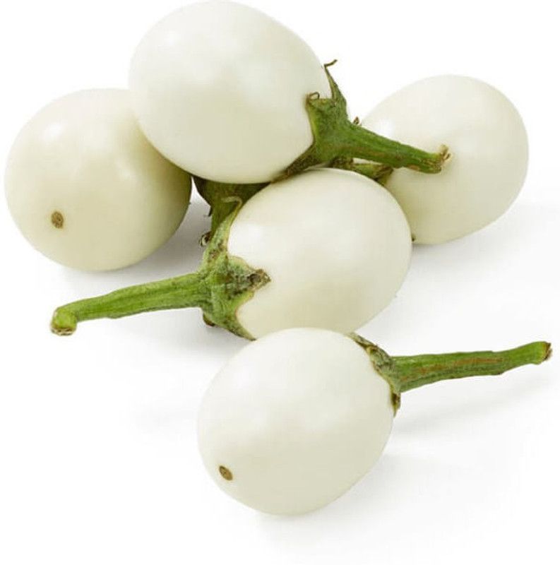 Paudha Brinjal White Plant Seed  (20 per packet)