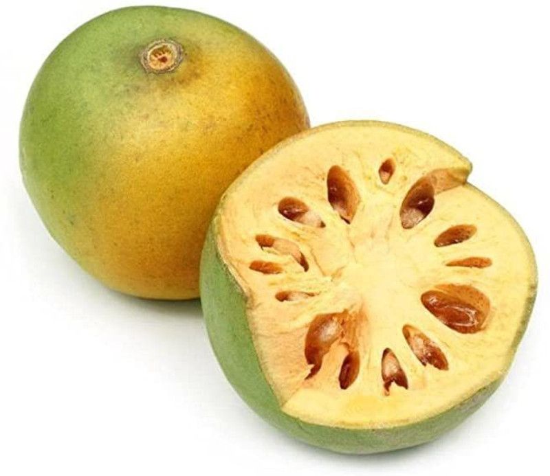 JRYU Bel Patra Fruit Seed  (26 per packet)