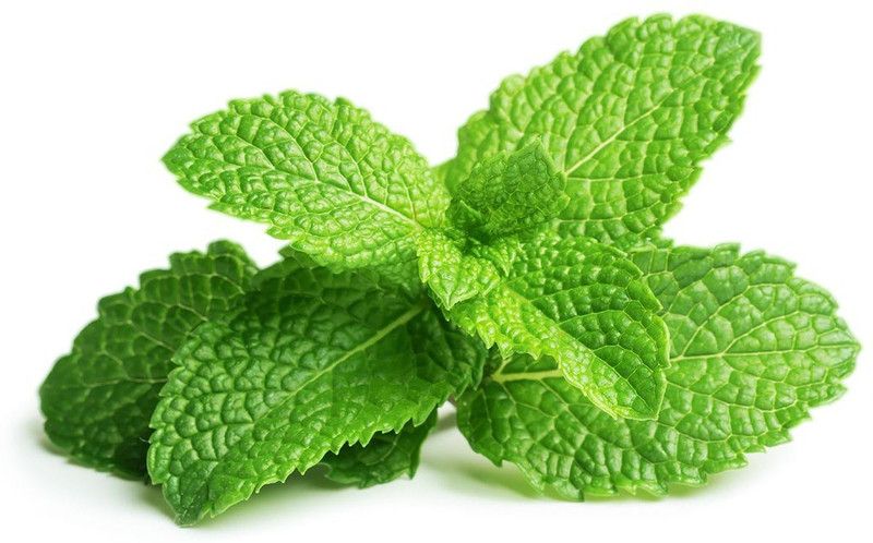 Mozette Organic PepperMint Seed  (45 per packet)