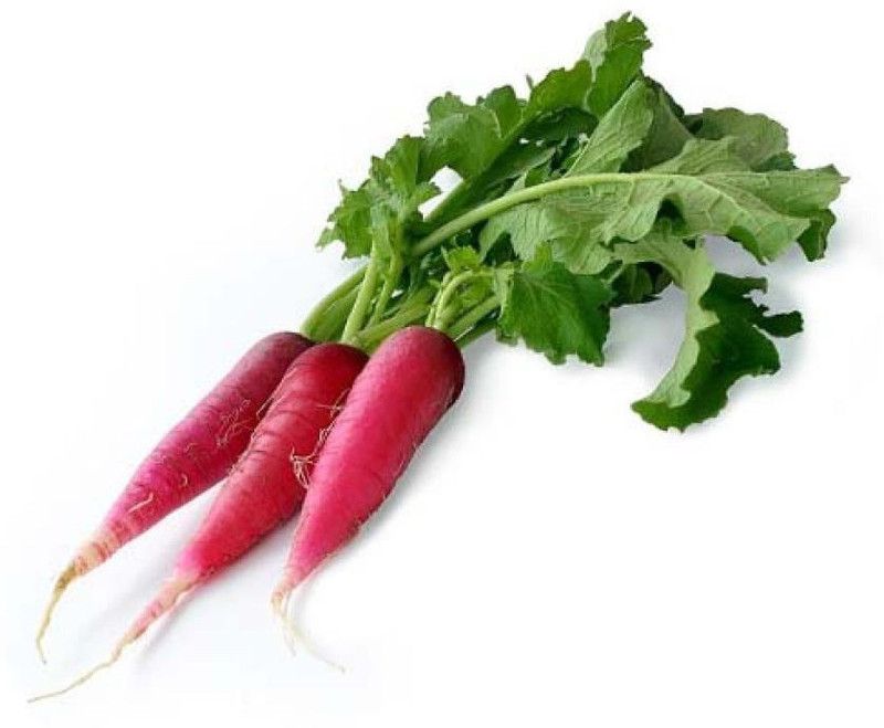 XOLDA Red Radish Vegetable Seed  (30 per packet)