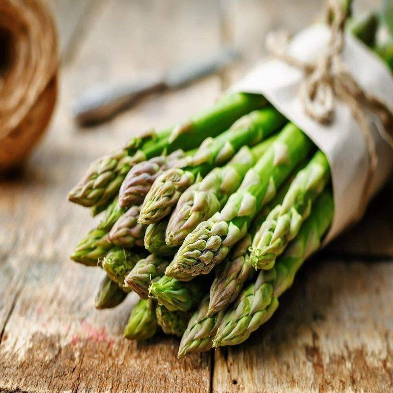 VibeX Asparagus Seed  (500 per packet)
