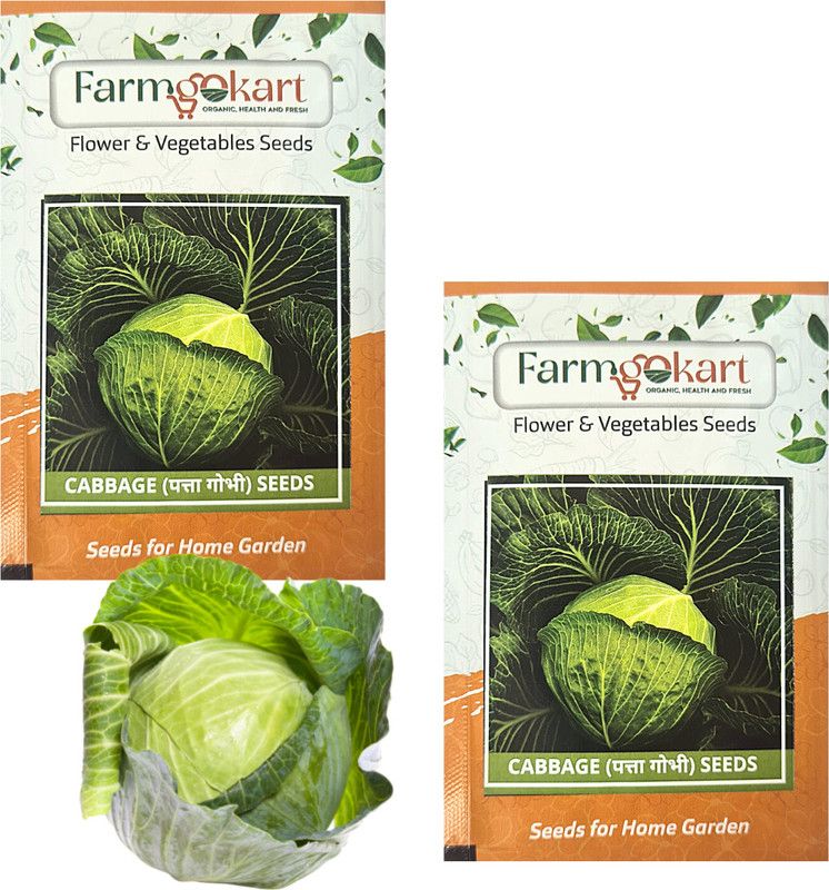 farmgokart 2 PACKETS OF CABBAGE SEEDS|Quality Vegetable Seeds Pouch|Home Gardening Seed  (400 per packet)