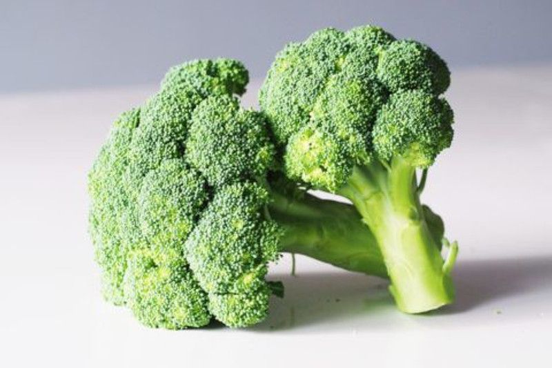 Mozette Broccoli Seed  (46 per packet)