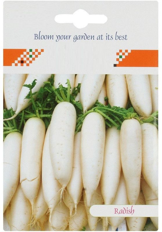 Qualtivate ™ Long Radish Seeds (White)-250 Seed Seed  (250 per packet)
