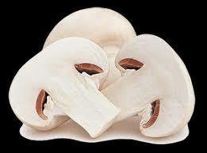 Oliver MUSHROOM SPAWN SEEDS Seed  (49 per packet)