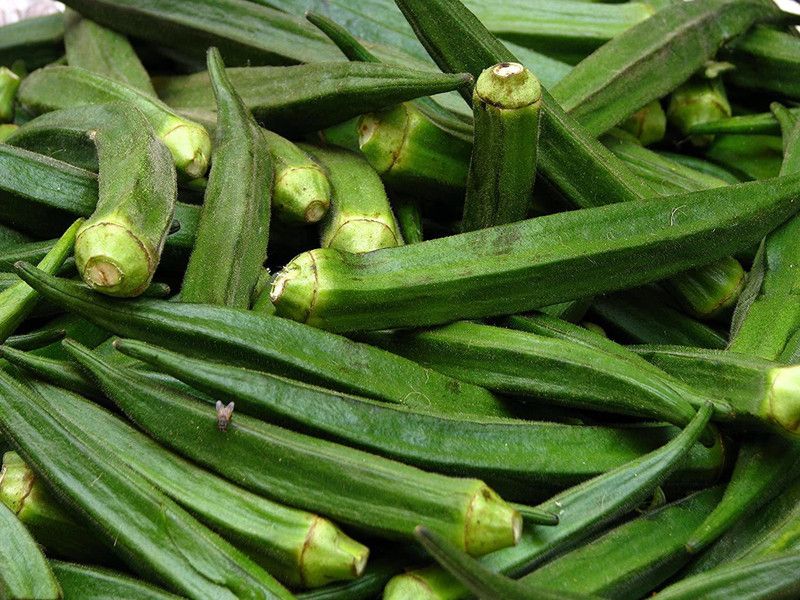 MKR Enterprises Bhindi Seed  (900 per packet)