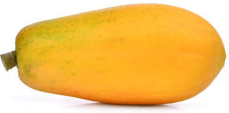 Splorias F1 hybrid papaya Seed  (35 per packet)