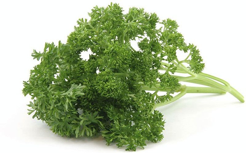 XOLDA Parsley Seed  (230 per packet)