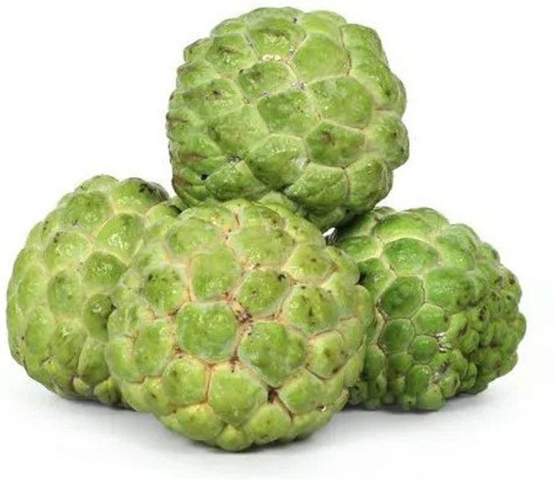 PLANTZON Custard Apple Hybrid Seed  (30 per packet)