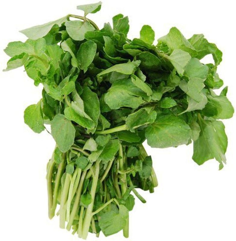 Nodoc WaterCress Seed  (10 per packet)