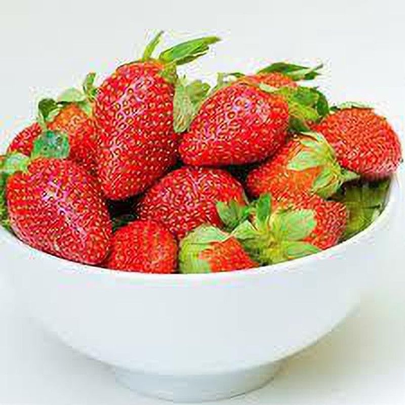 XOLDAA F1 best quality hybrid strawberry Seed  (80 per packet)
