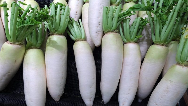 Mozette Radish Seed  (35 per packet)