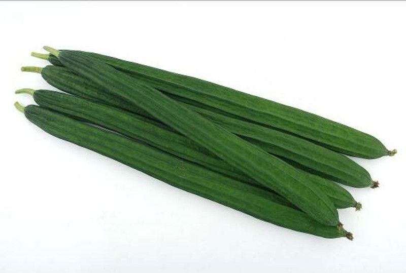 UGRA Sponge Gourd: SAN-C Seed  (250 per packet)