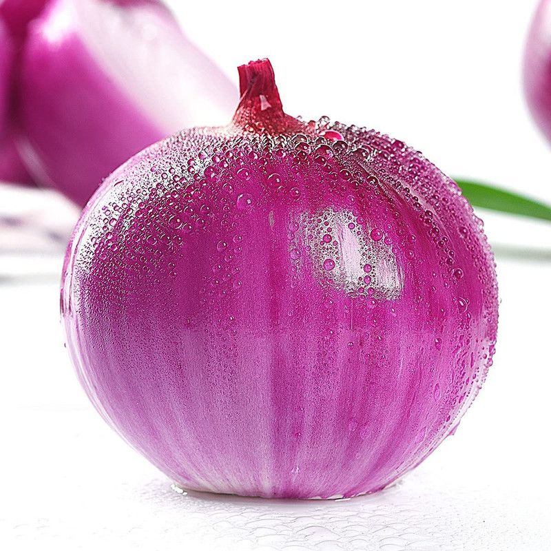 CYBEXIS Fast Germination Red Onion Seeds2000 Seeds Seed  (2000 per packet)