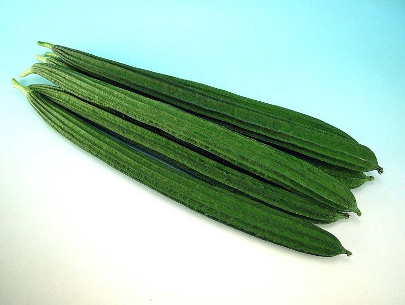 UGRA Dark Green Sponge Gourd Seed  (150 per packet)