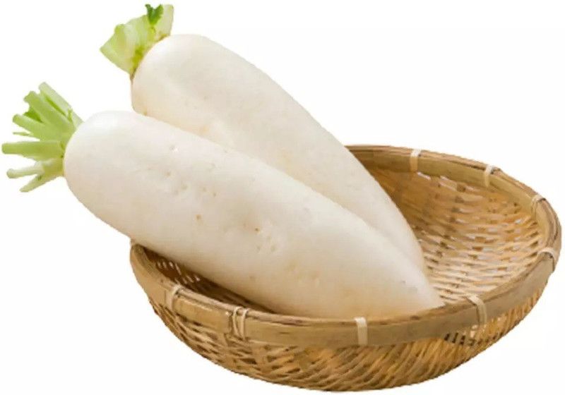 VINTI Organic White Radish मूली के बीज Seed  (3000 per packet)