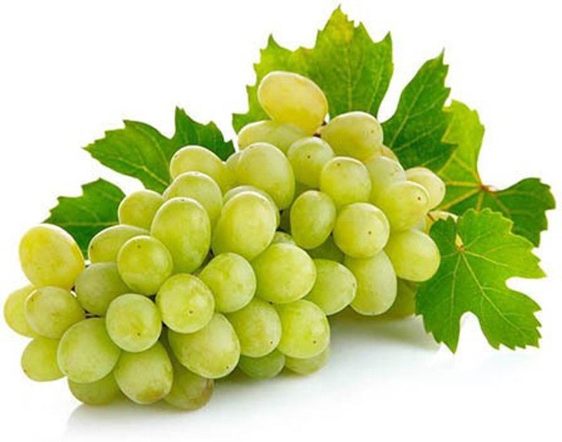PLANTZON Grapes Seed  (60 per packet)