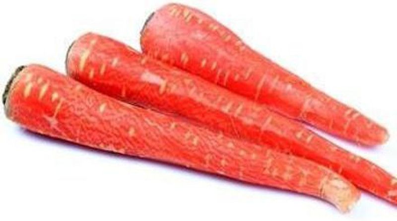 KANAYA Gajar Hybrid Vegetable Seed  (25 per packet)