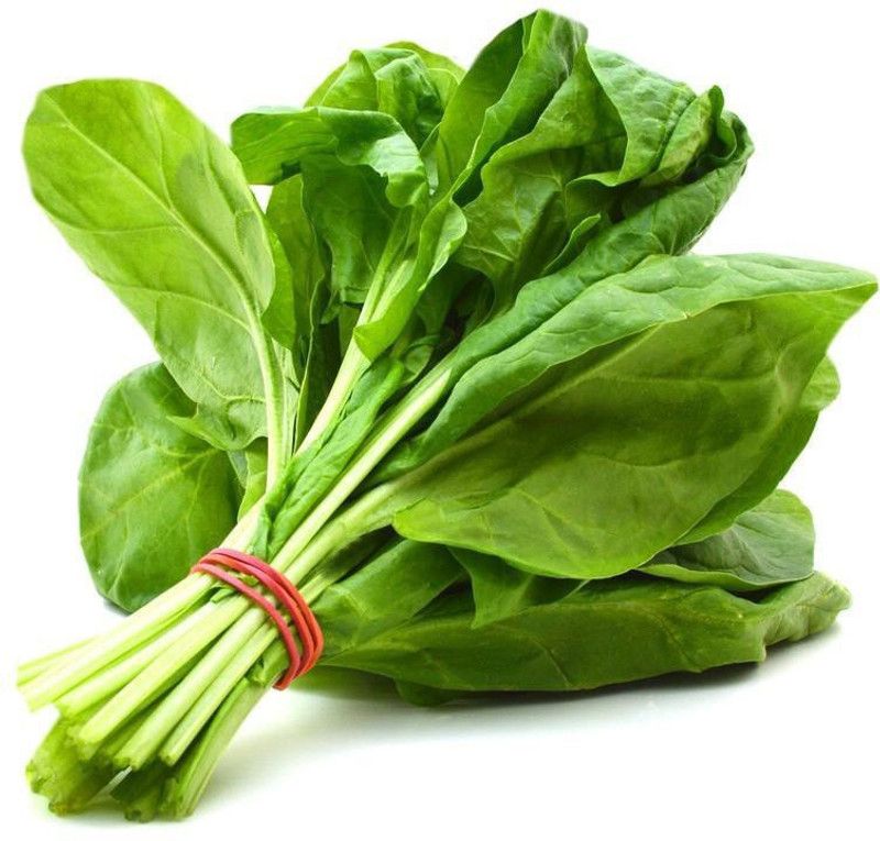 XOLDA Organic Palak Spinach Seed  (78 per packet)
