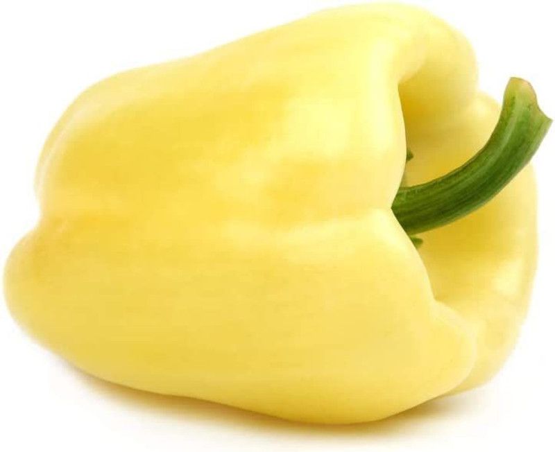 VibeX ® LXI-483 White Bell Pepper Capsicum Seeds Seed  (200 per packet)