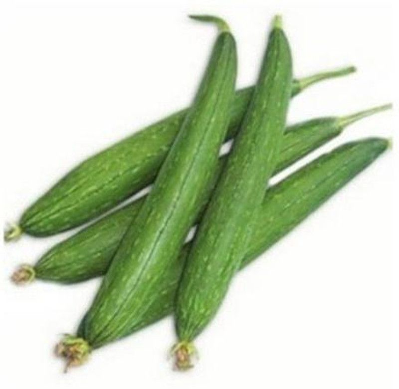 UGRA SPONGE GOURD - TORI Seed  (40 per packet)