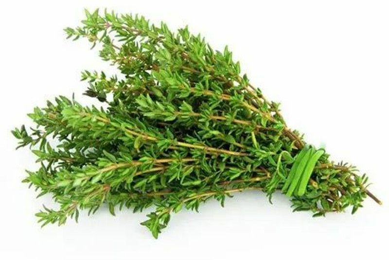 Mozette Thyme herbs Seed  (26 per packet)