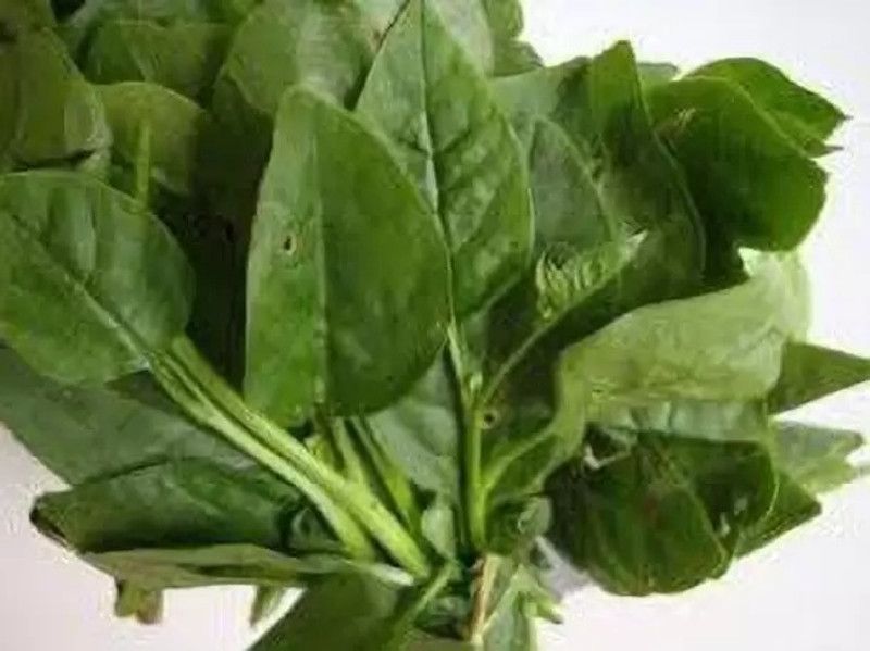 Aro Malabar Spinach, Malabar Seed  (300 per packet)