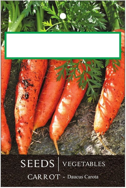 Qualtivate ™ Carrot Seeds (White)-1000 Seed Seed  (1000 per packet)